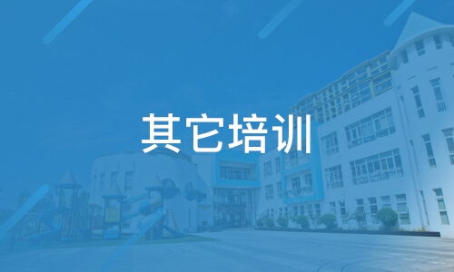 上海質遠信息技術服務與淘學培訓深度解析 靠譜嗎？